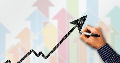 Rent-an-Internal Auditor