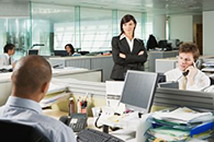 Organization of accounting and financial functions